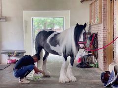 -北京群众马术培训基地