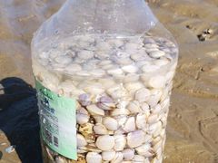 -巧克力渔家.小船海鲜家常菜(万平口店)