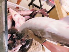 -崔记生活·铁锅炖鱼粘卷子(总店)