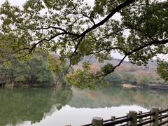 -白马涧龙池景区
