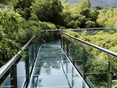 -陶祖圣境风景区