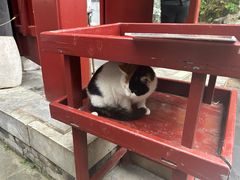 -李叔同故居纪念馆