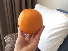 -芽庄中心购物广场