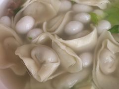 -公平菜粿(沙河店)
