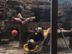 -石家庄市动物园