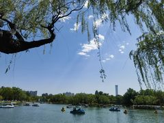 -西海子公园