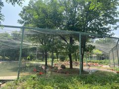 -石家庄市动物园