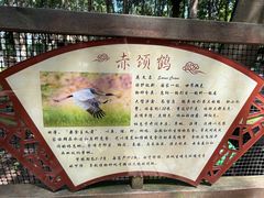 -艾溪湖湿地公园