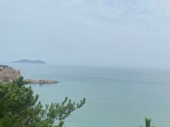 -摩天岭风景区