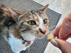 -雷鹰射击俱乐部