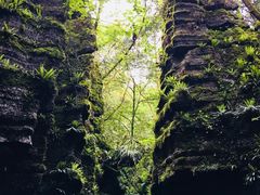 -梭布垭石林景区