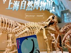 -上海自然博物馆