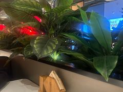 -辛香汇·现炒川菜(城北万象城店)