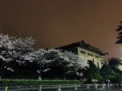 -武汉大学-樱园