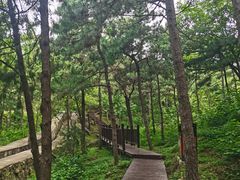 -北京十三陵国家森林公园蟒山景区