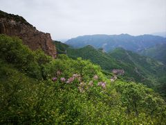 -灵山
