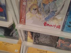 -浣熊唱片店(上海影城店)
