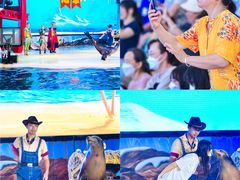 -三亚海昌梦幻海洋不夜城