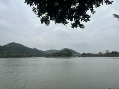 -顺峰山公园
