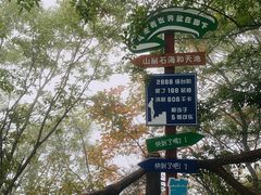 -秦岭终南山世界地质公园翠华山景区