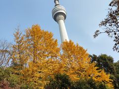 -龟山风景区-龟山电视塔