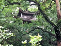 -溪口-滕头旅游景区