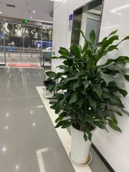 点击看大图 -悟空祛痘·专业祛痘机构