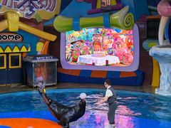 -海合安武汉极地海洋公园