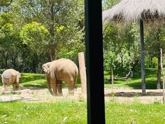 -北京野生动物园