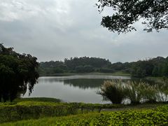 -福建鲤鱼洲酒店