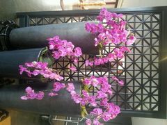 android_upload_pic-苏州吴宫泛太平洋酒店