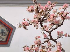 -陶然亭公园
