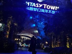 -三亚海昌梦幻海洋不夜城