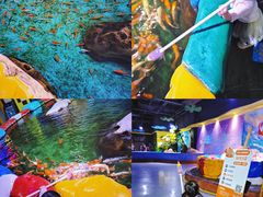 -顺德南宏海立方海洋公园