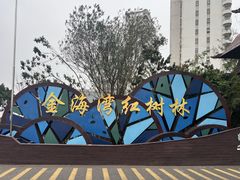 -北海金海湾红树林生态旅游区