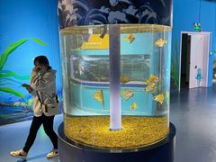 -沙沙哗啦海洋馆(华宇百花谷店)