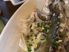 -八仔大富楼·河鲜(西江店)