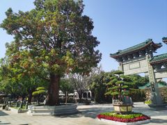 -广东圆玄道观