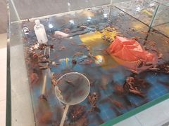 -四海蒸鲜蒸汽海鲜自助(北戴河店)