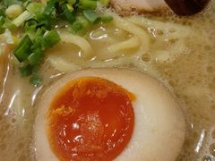 -日出拉面(望京店)