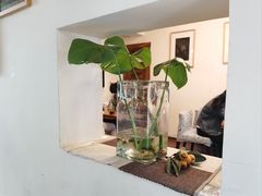 -两棵枇杷树