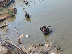 -天津市动物园