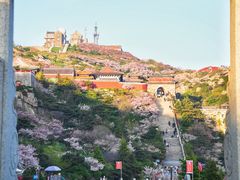 -泰山风景名胜区