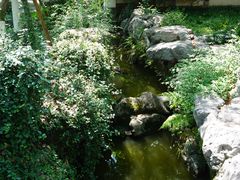 -墨池公园
