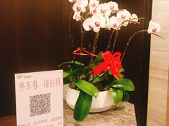 -春满园·早茶·粤菜·宴会(前海店)