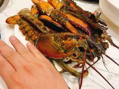 -半岛听涛蒸汽海鲜自助(K11店)