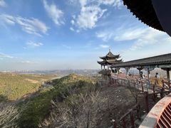 -大青山野生动物园
