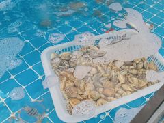 -锅老头海鲜铁锅炖