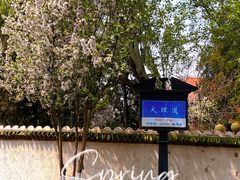 -天津五大道文化旅游区