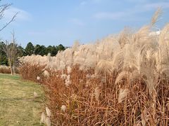 -同济大学(嘉定校区)